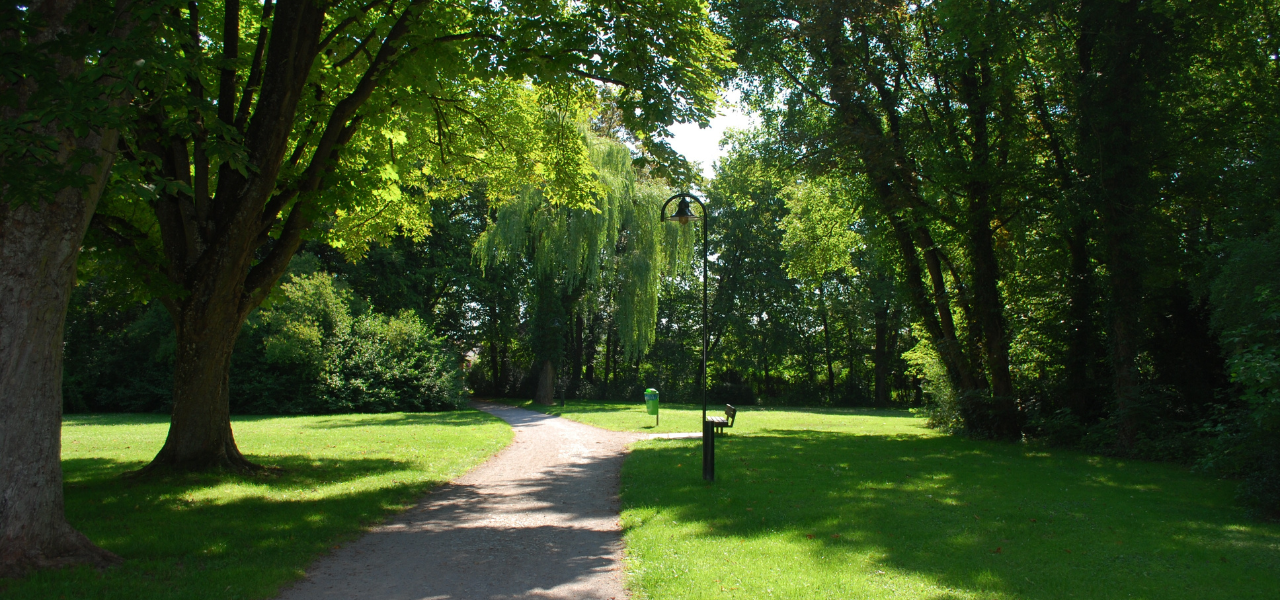 Free Things to Do with Kids in Metro Detroit